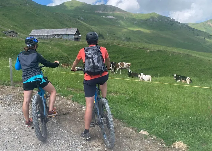 Chalet Montriond - Bike & Ski