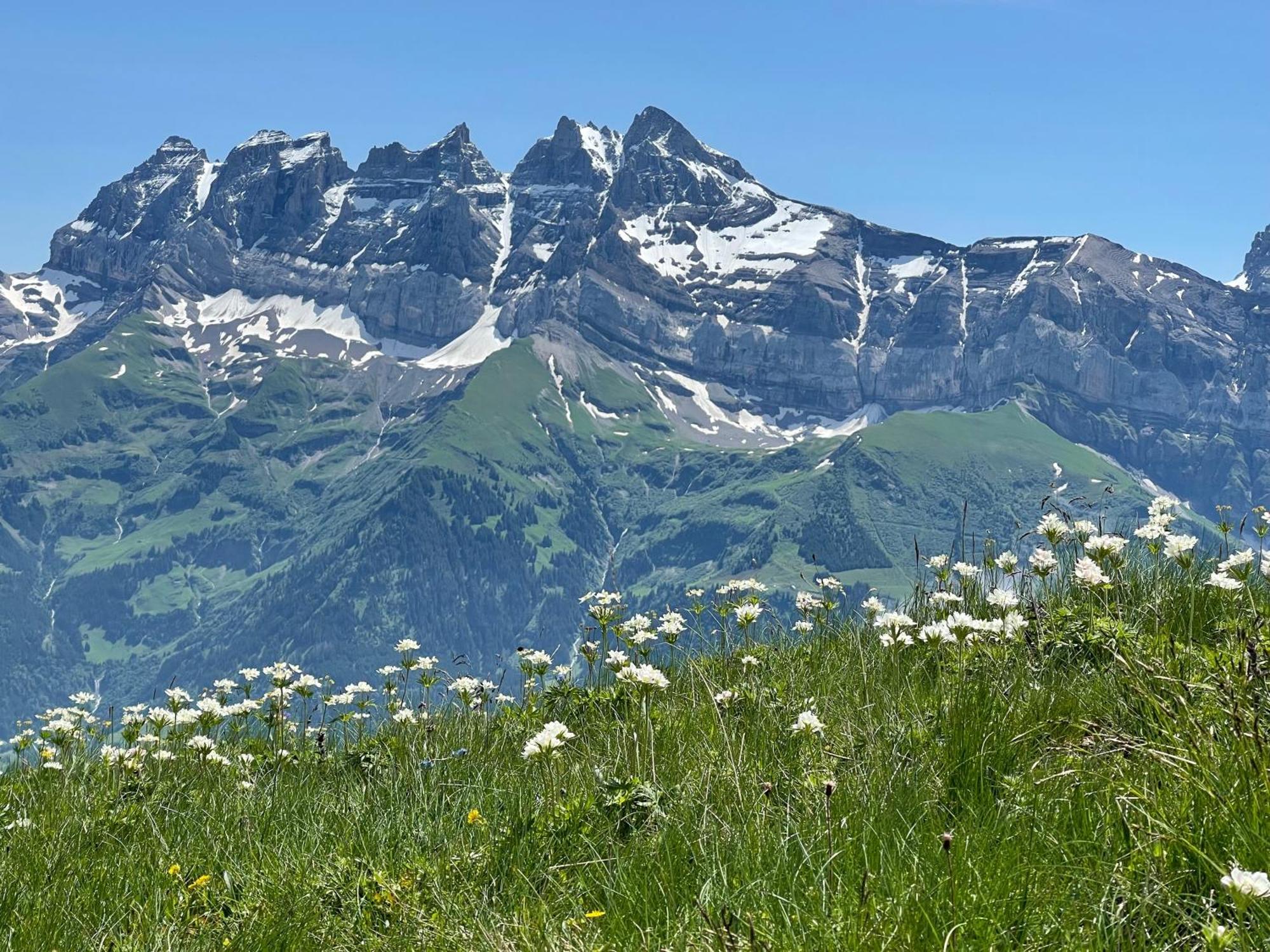 Montriond - Bike &